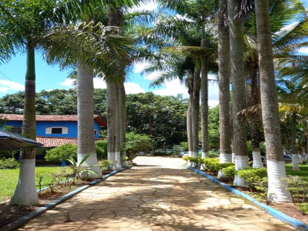 Centro de tratamento para dependência química Goiânia