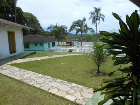 Antonina no Paraná Masculino- PR